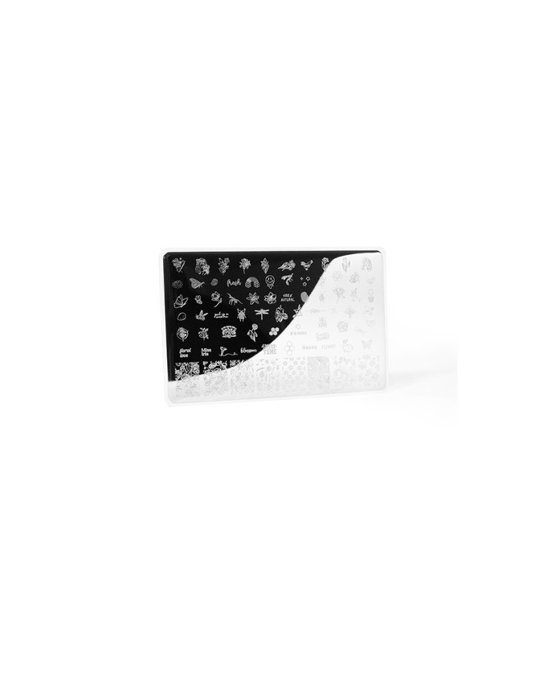 Piastra per stamping Spring 02