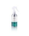 Salon Perfume - Arome 99