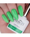 Indigo What's Up? Gel Polish 7ml